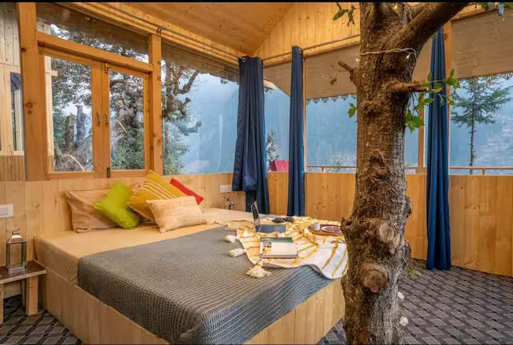 The Wooden Nest x Solis Nature