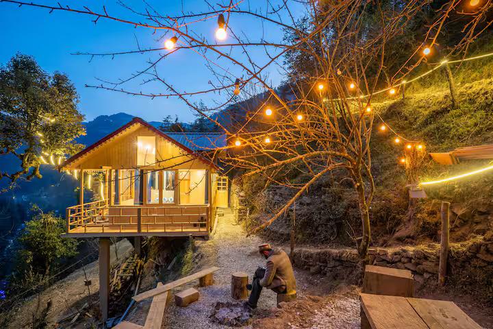 The Wooden Nest x Solis Nature