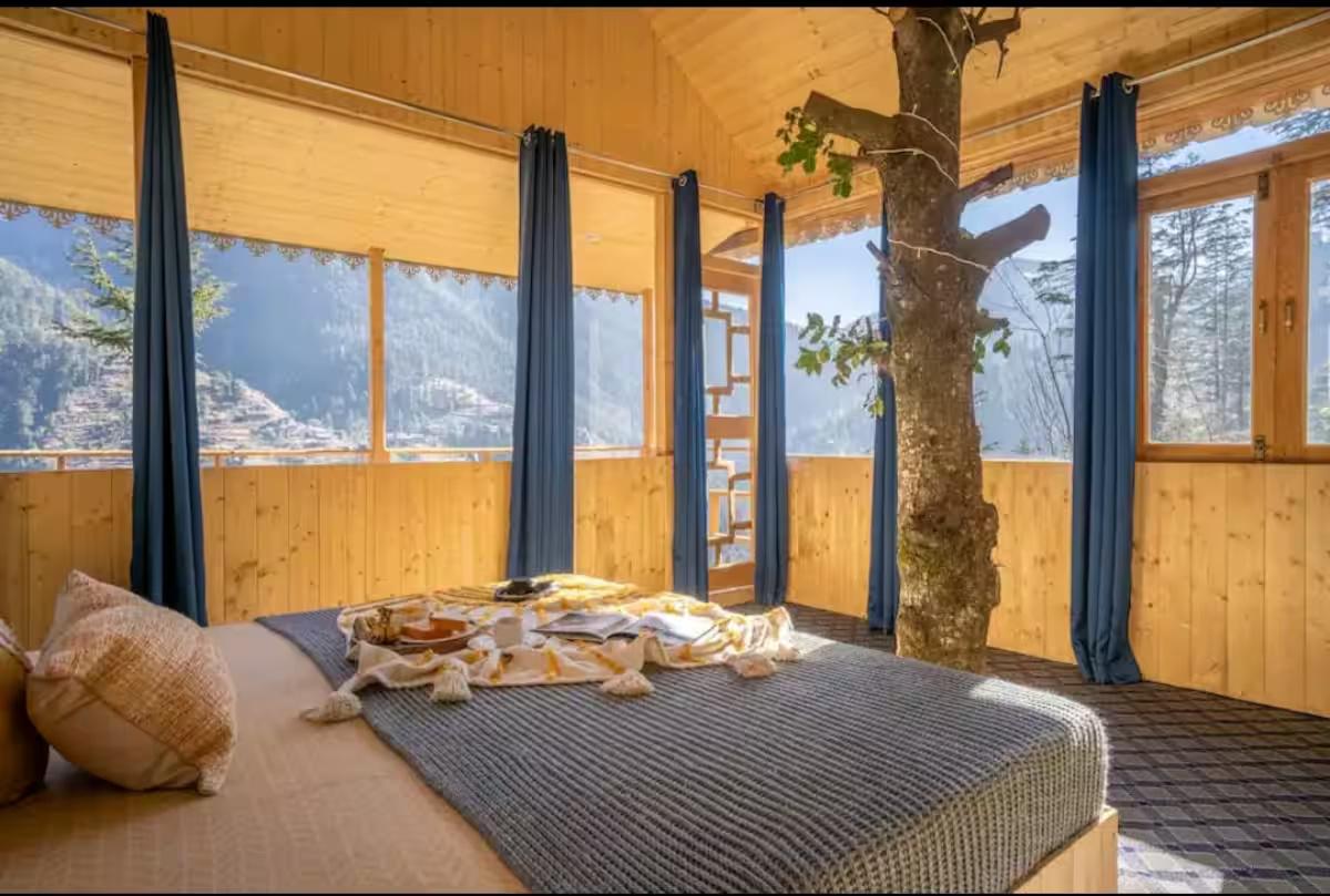 The Wooden Nest x Solis Nature