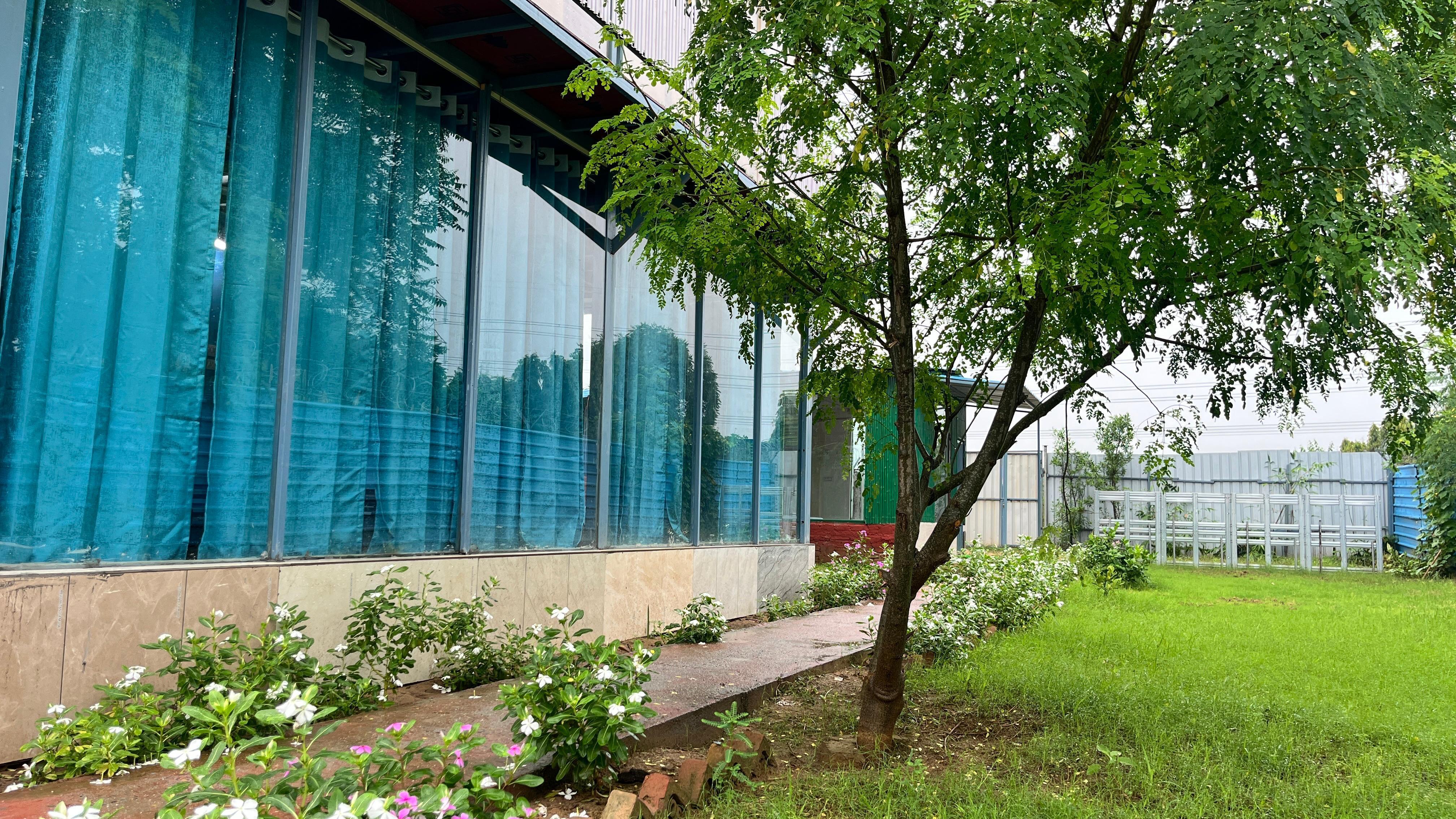 Brasa Villa (NCR) x Solis Nature