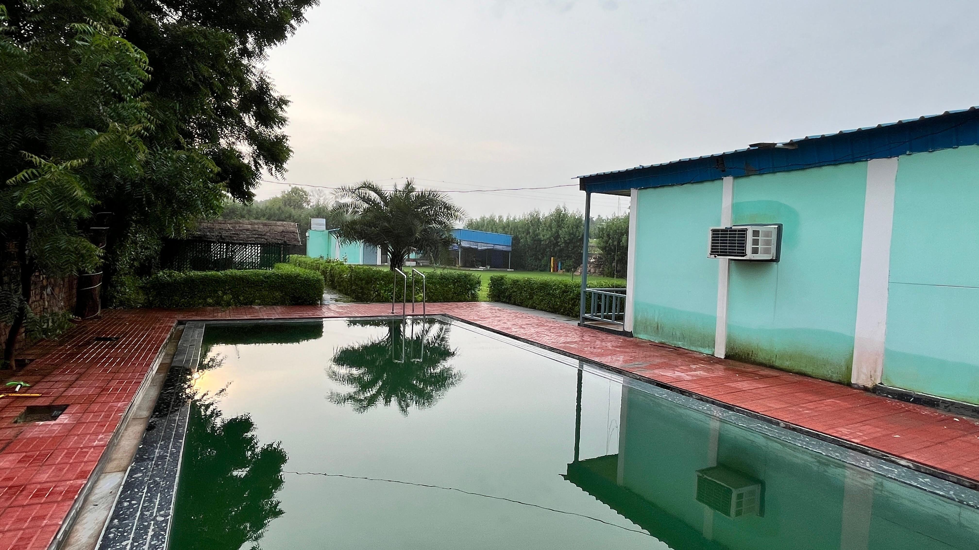 Brasa Villa (NCR) x Solis Nature