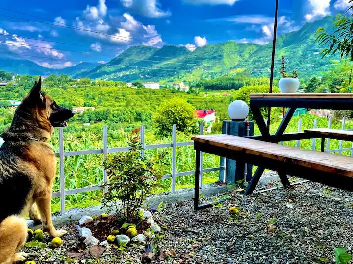 A frame cottage at Naukuchiatal x Solis Nature