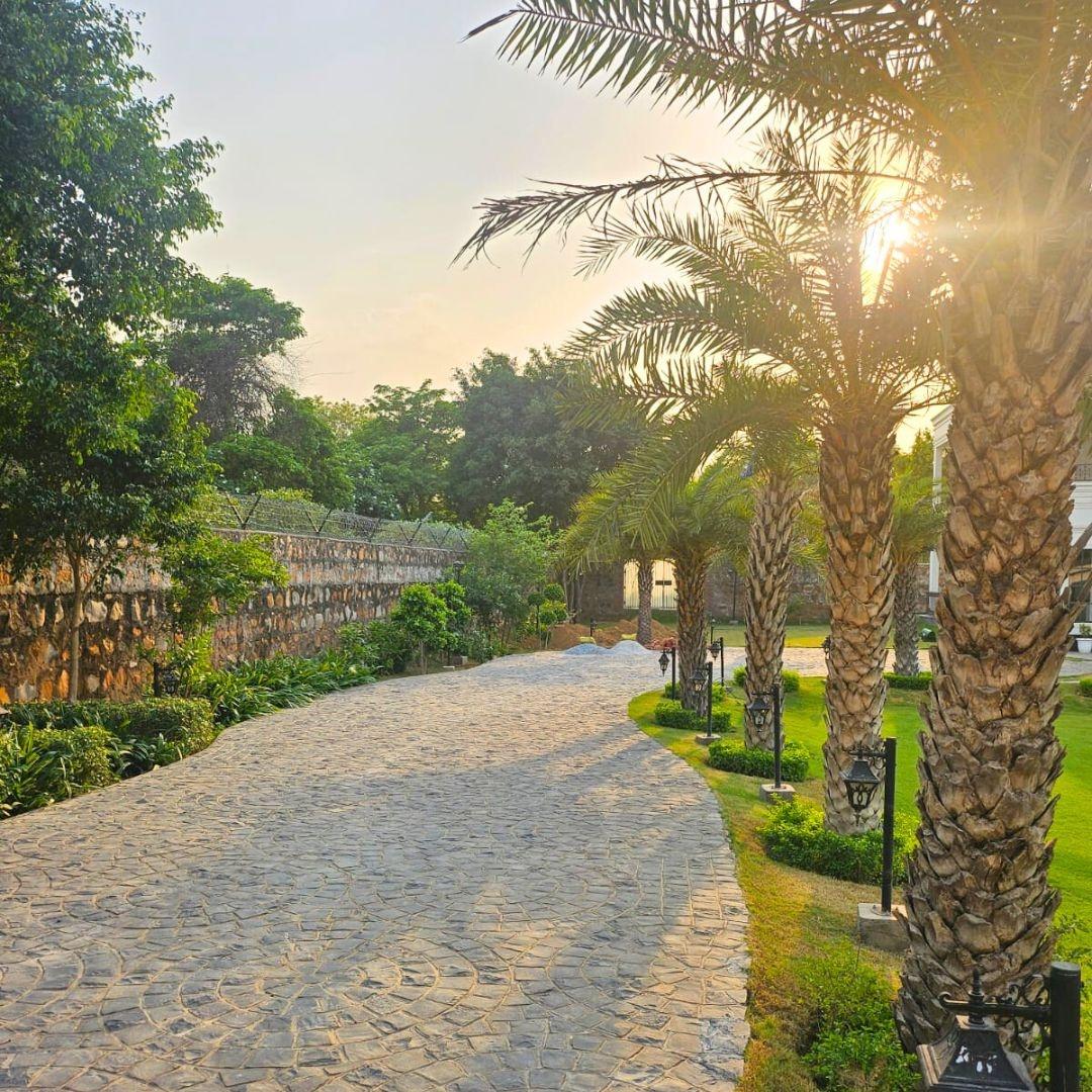 White House (NCR) x Solis Nature