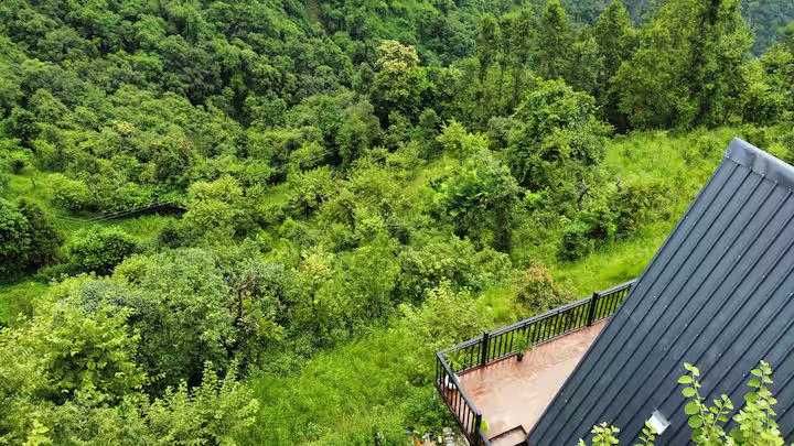 The Sanguri A-Frame x Solis Nature