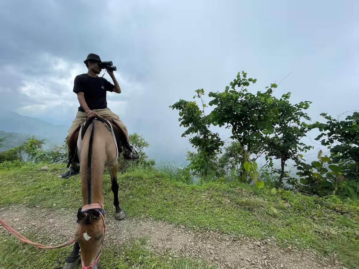 The Sanguri A-Frame x Solis Nature