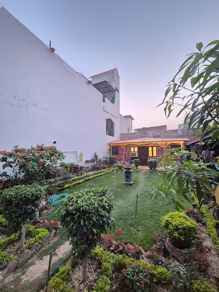 The Gardenveil Suite x Solis Nature