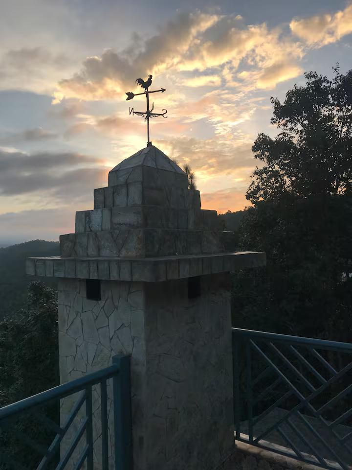 Wood Owl Cottage x Solis Nature