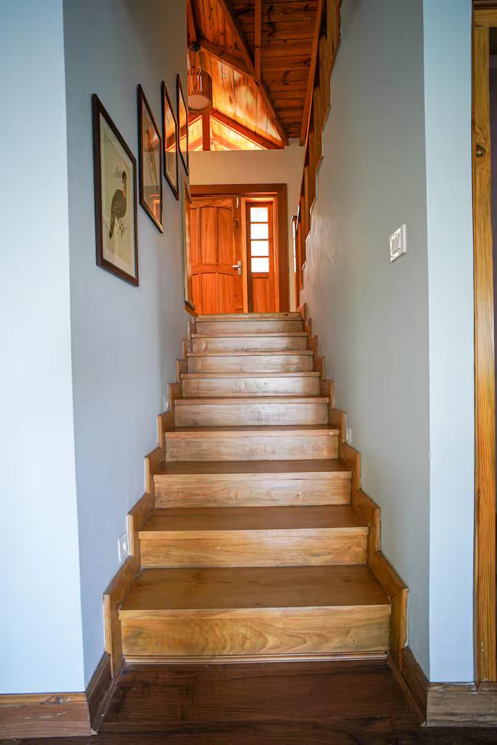 Wood Owl Cottage x Solis Nature