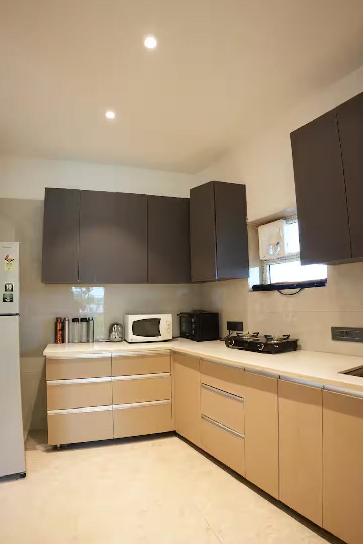 Modern Manor x Solis Nature