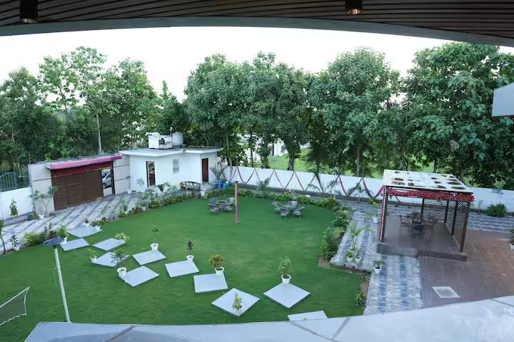 Modern Manor x Solis Nature