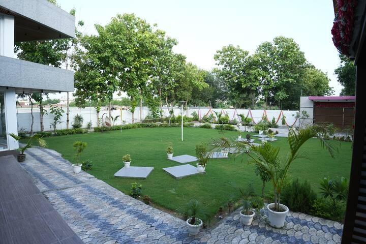 Modern Manor x Solis Nature