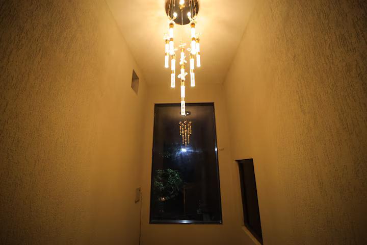 THE COZY CHAOS x Solis Nature