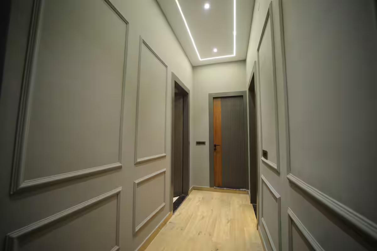 THE COZY CHAOS x Solis Nature