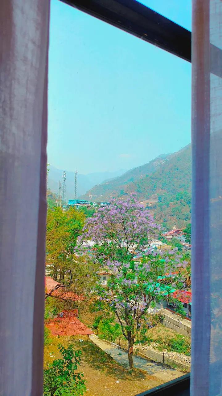 The Brookstone Retreat x Solis Nature