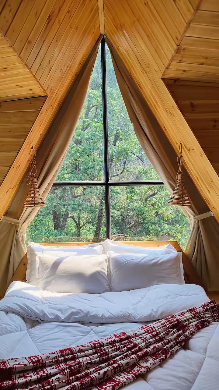 The Brookstone Retreat x Solis Nature