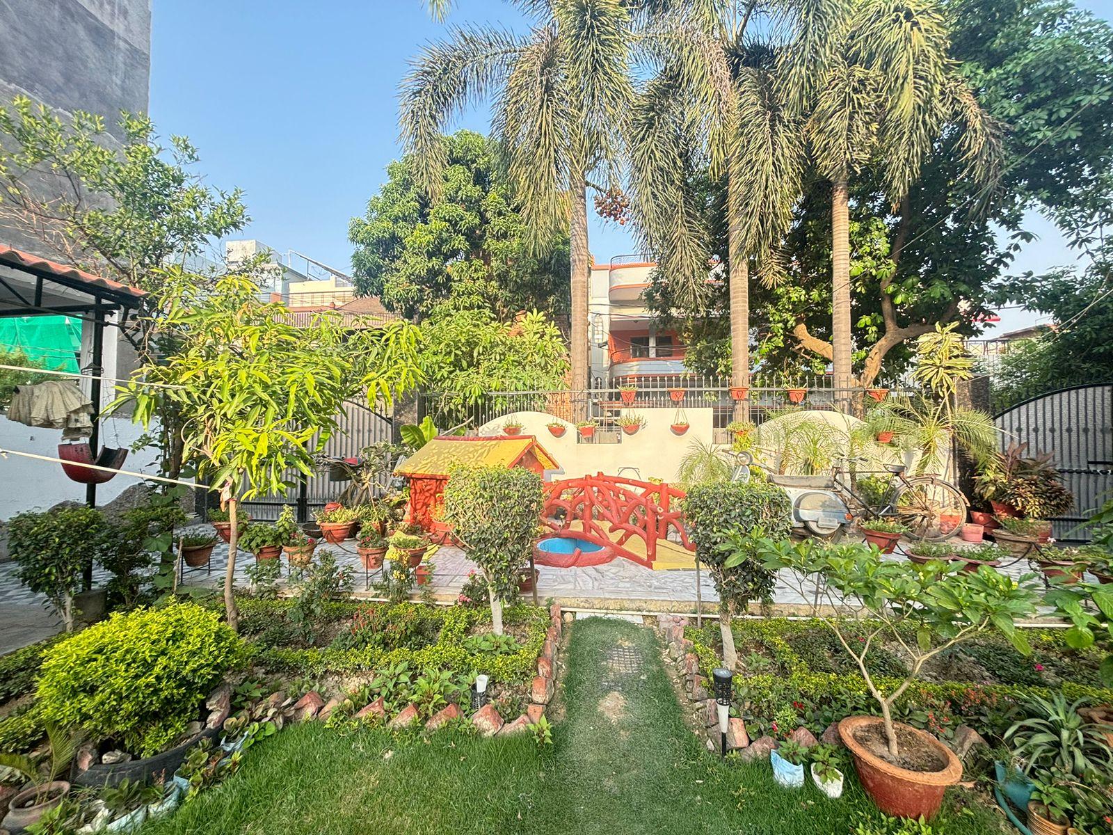 The Gardenveil Suite x Solis Nature