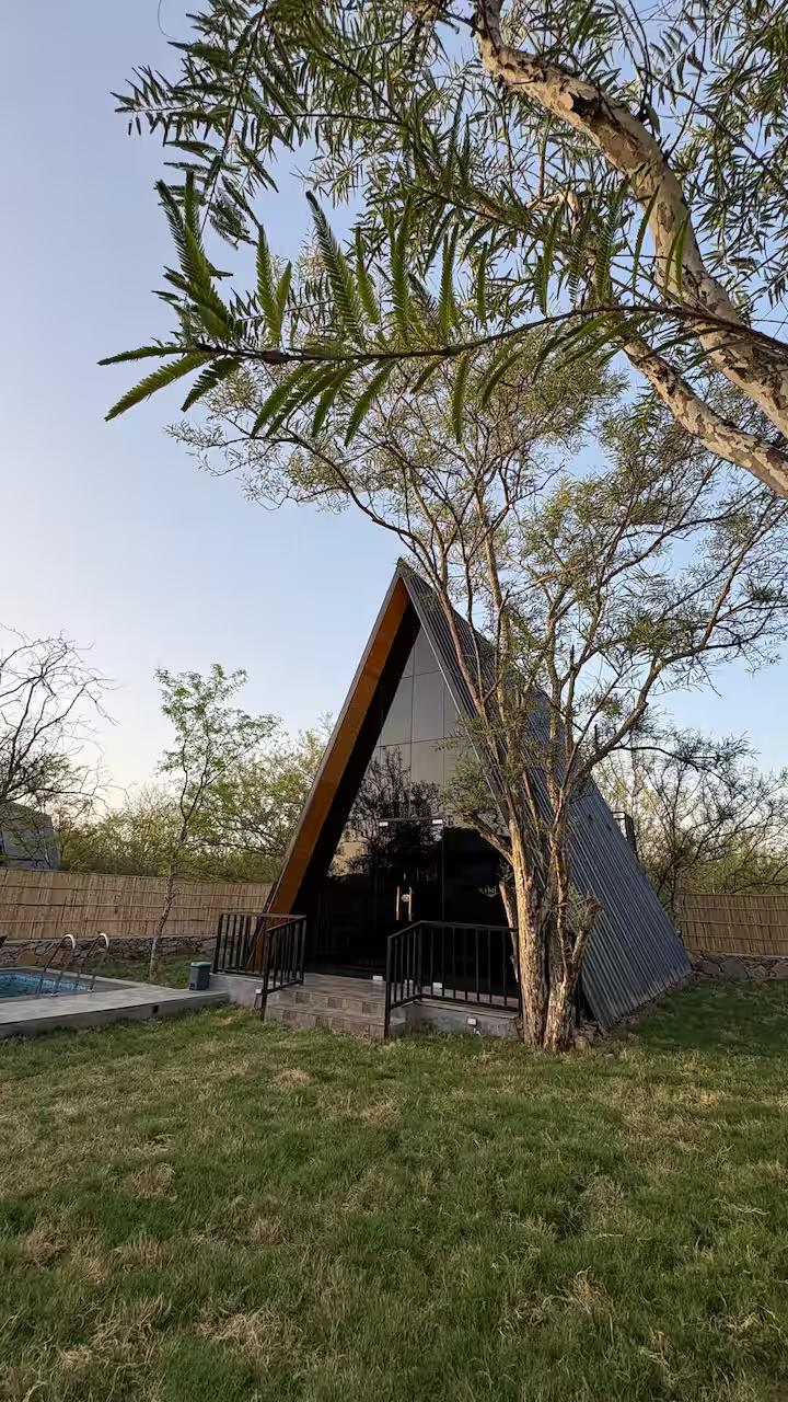 A-Frame Nest x Solis Nature