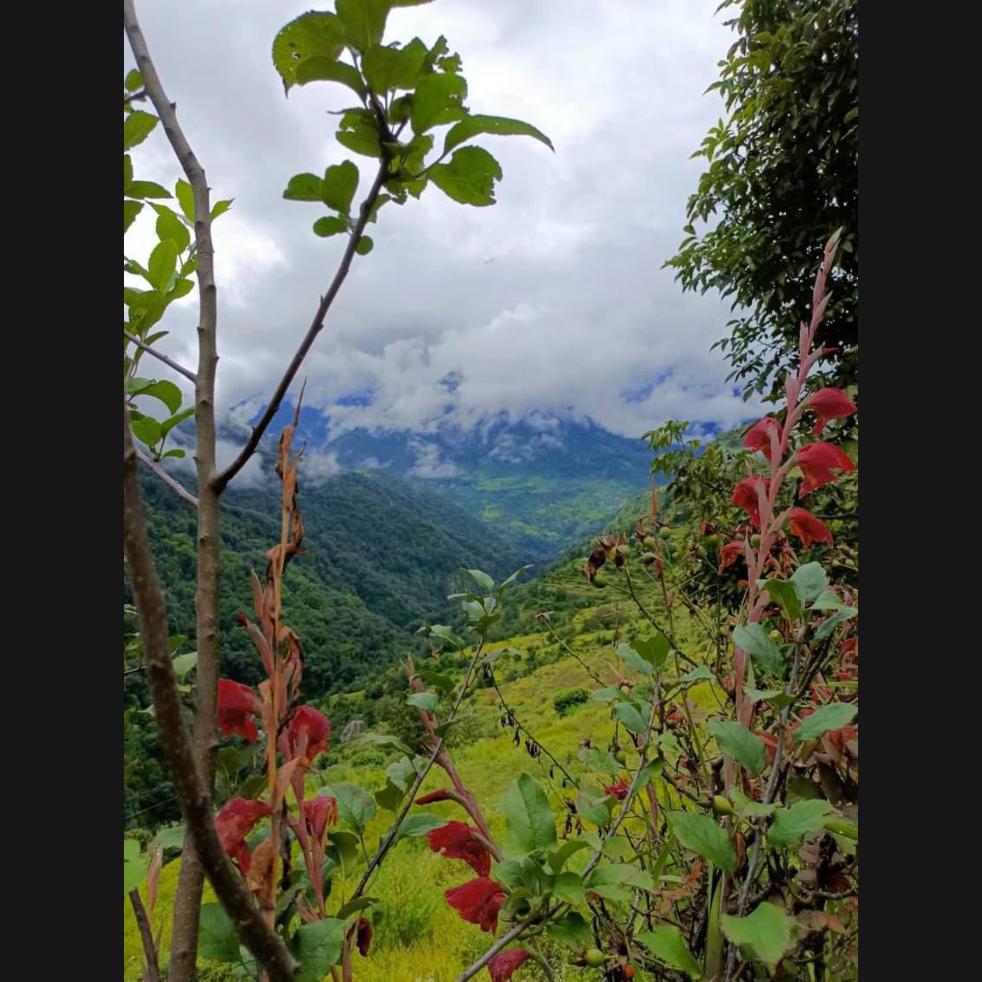 Bharat Homestay - The Native Himalayan x Solis Nature