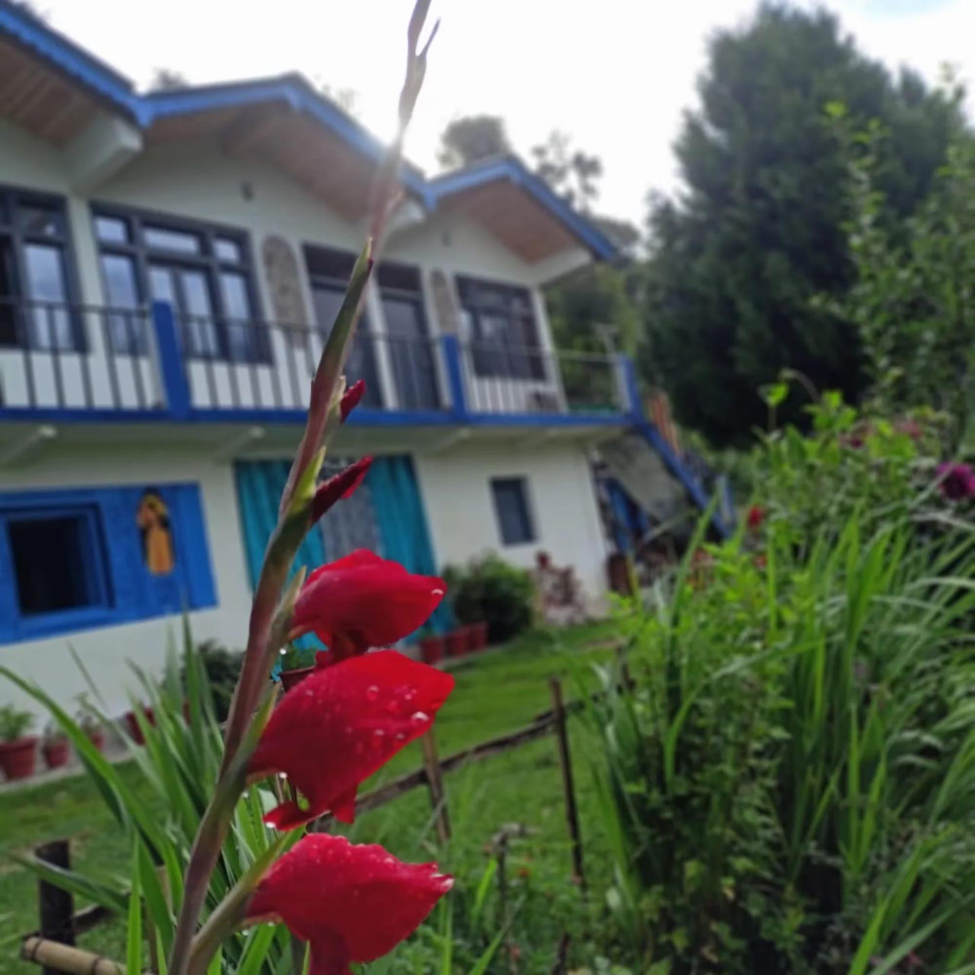 Bharat Homestay - The Native Himalayan x Solis Nature