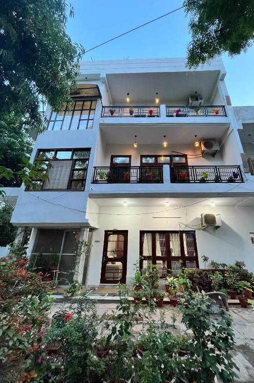 Alibaba's Indiana Homestay x Solis Nature