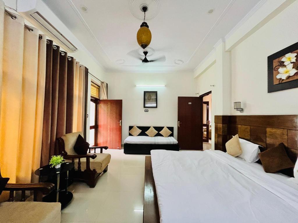 Alibaba's Indiana Homestay x Solis Nature