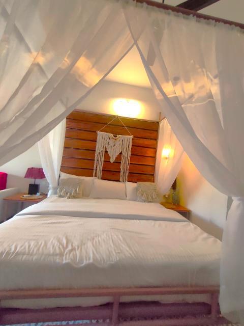 3BHK Lakeview Villa, Udaipur x Solis Nature