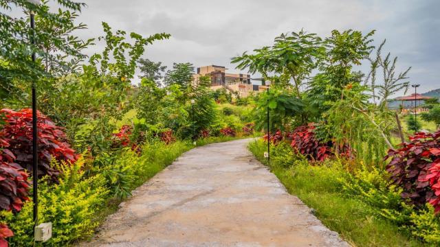 TapoBhoomi - A 4BHK Luxuries Pool & Farm Stay x Solis Nature