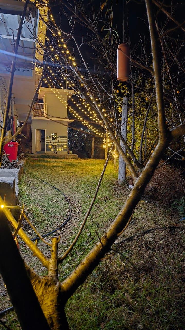 The City Escape Farmstay x Solis Nature