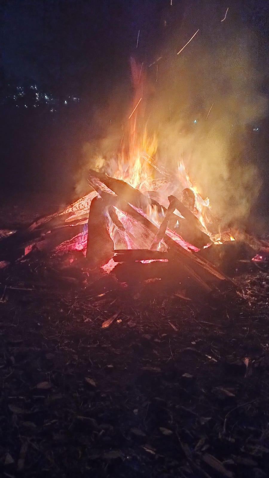 The City Escape Farmstay x Solis Nature