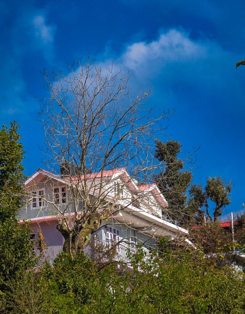 The City Escape Farmstay x Solis Nature