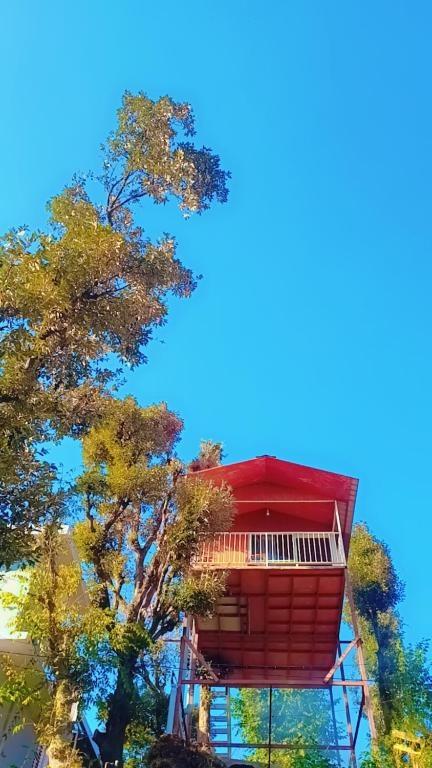 Tree House Shimla x Solis Nature