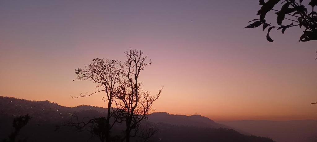 Tree House Shimla x Solis Nature