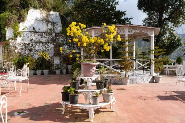 Arvelia Mansion Luxe by Da Alohas x Solis Nature