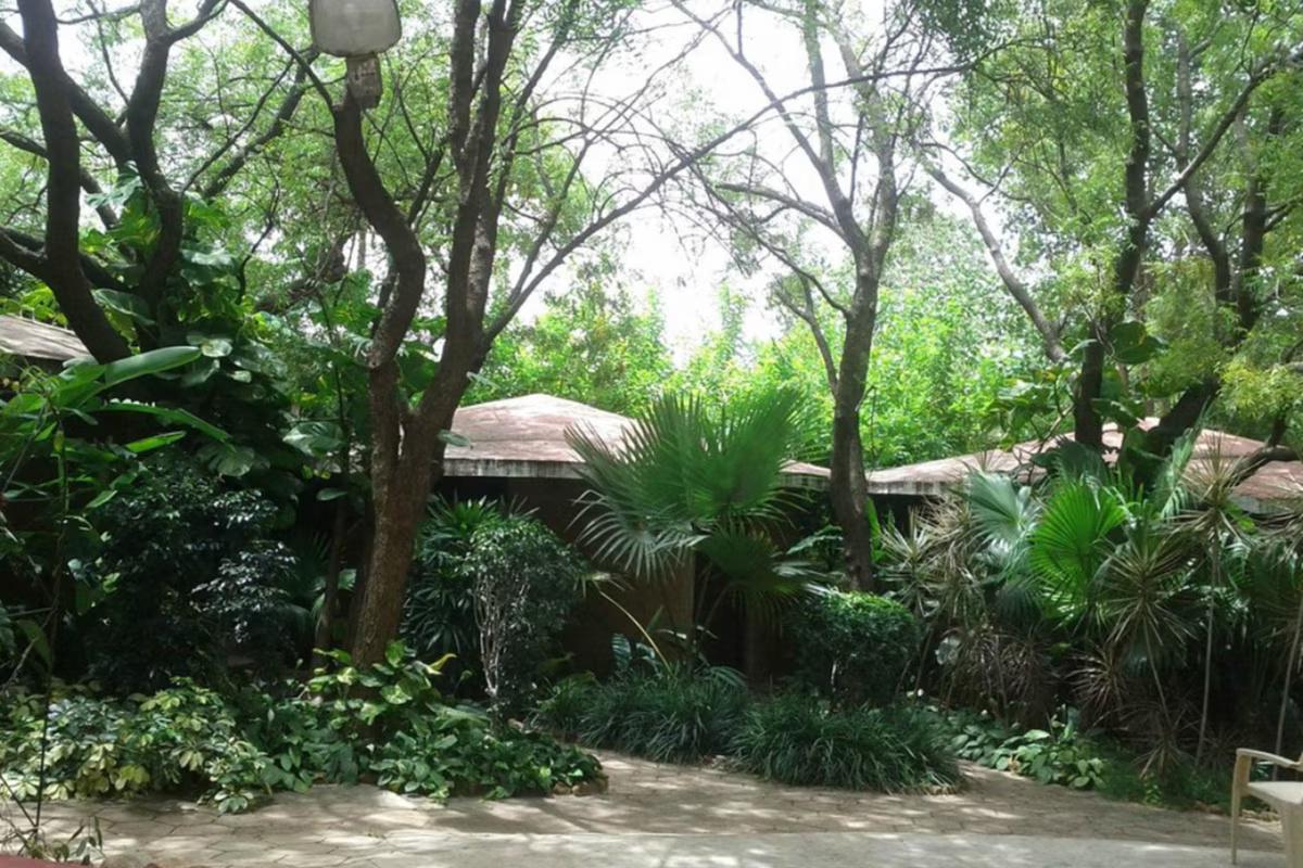 Dream Valley Golf Resorts and Spa x Solis Nature