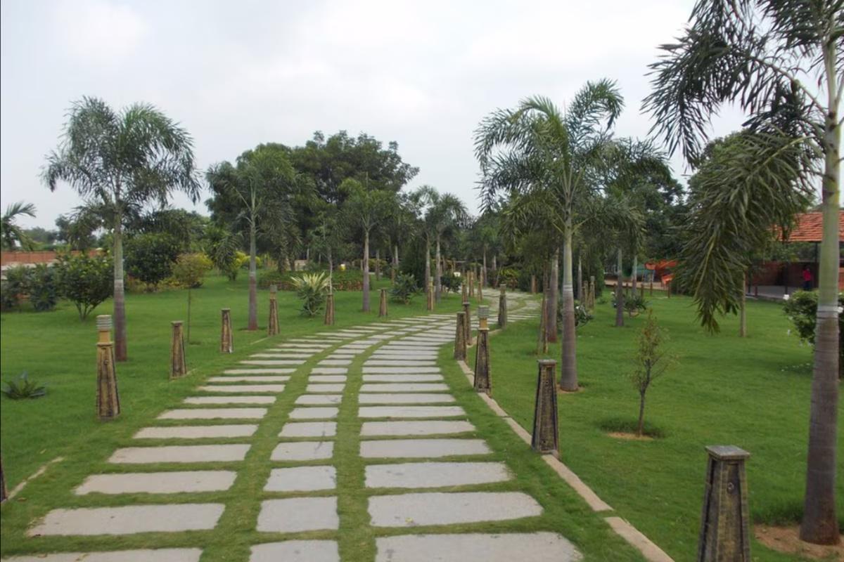 Dream Valley Golf Resorts and Spa x Solis Nature