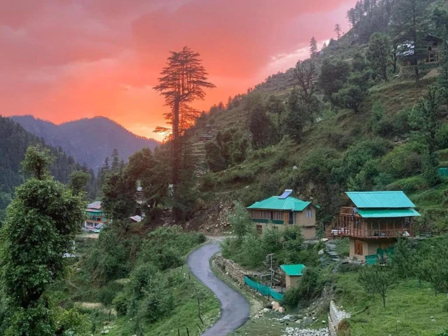 Bay Leaf By Live Inn x Solis Nature