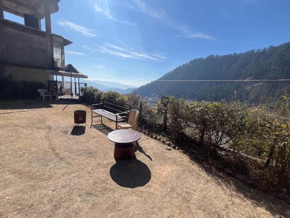 Bay Leaf By Live Inn x Solis Nature