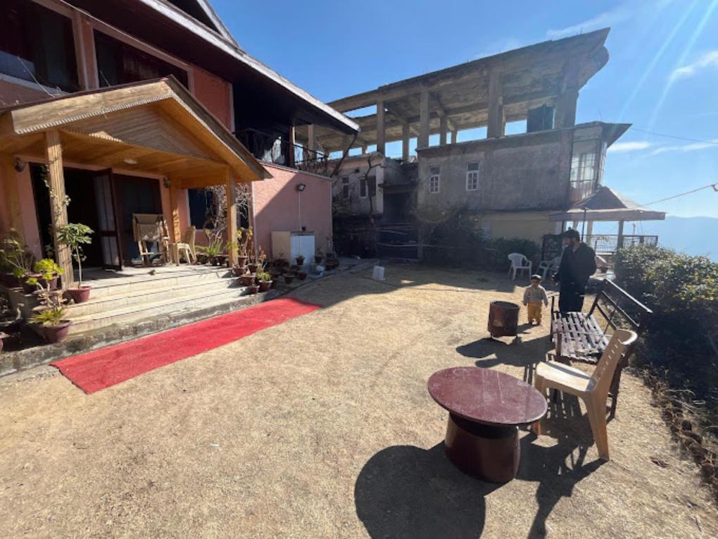 Bay Leaf By Live Inn x Solis Nature