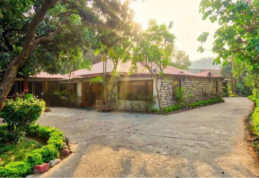 Maharani  Executive Room, Jim Corbett x Solis Nature