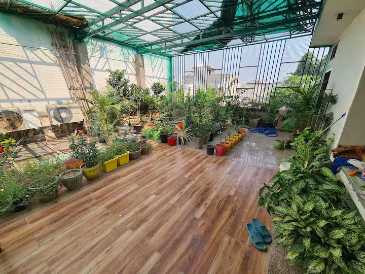 The Agra Luxe x Solis Nature