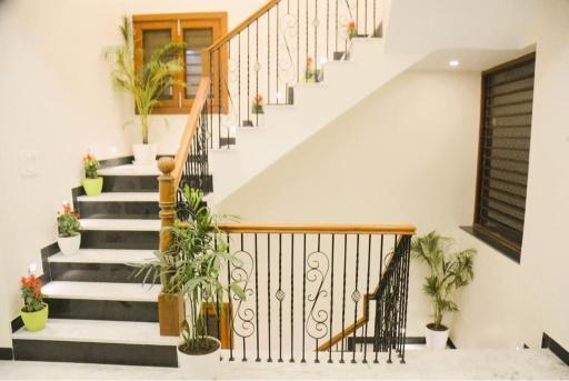 Gupta Vilas Homestay x Solis Nature