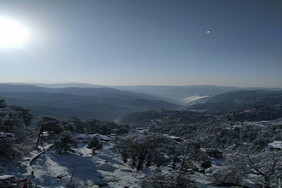 Shri Namah Residency x Solis Nature