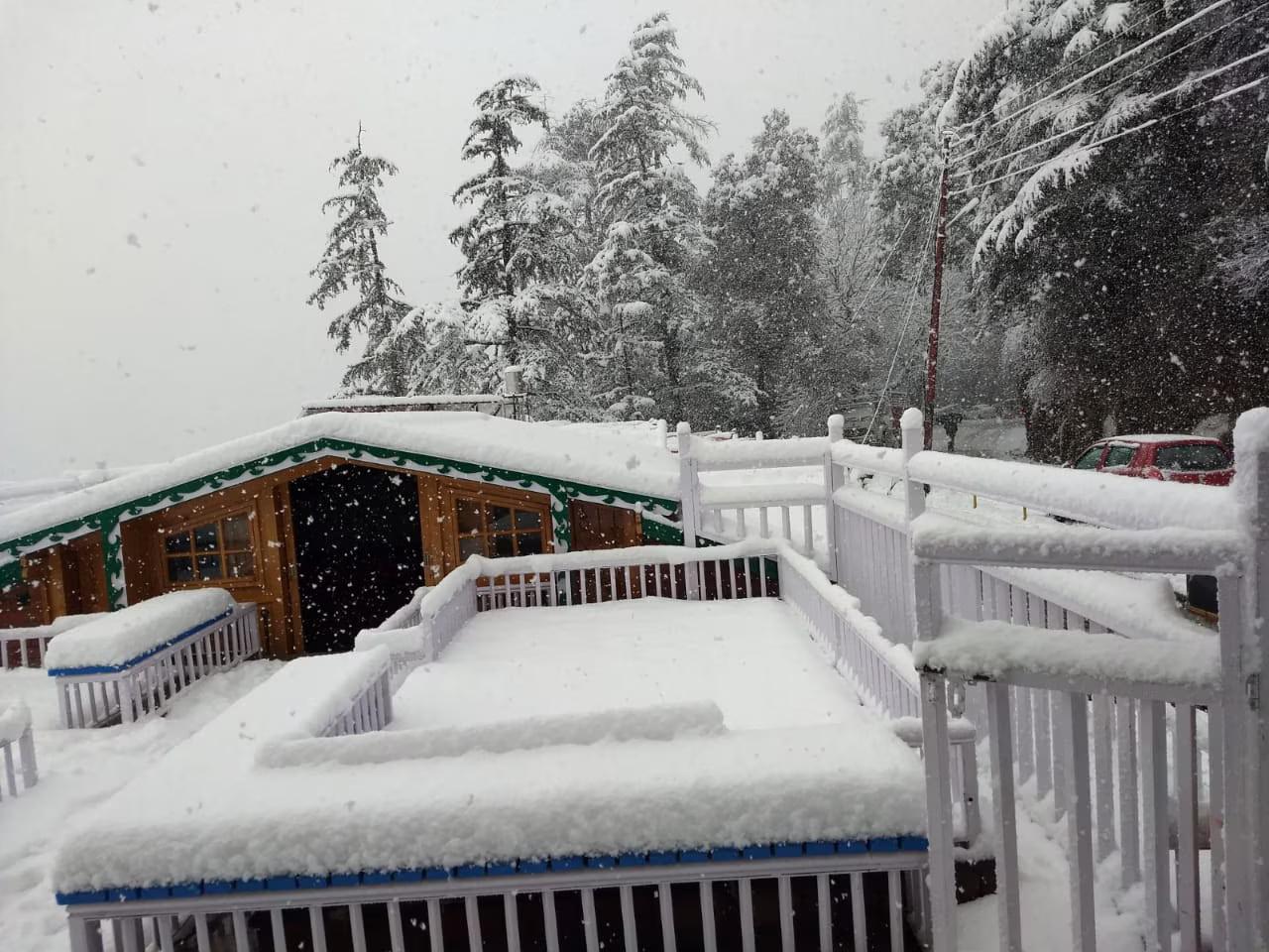 Rocky Knob Shimla x Solis Nature