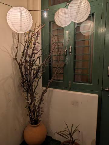 Hey gram x Solis Nature