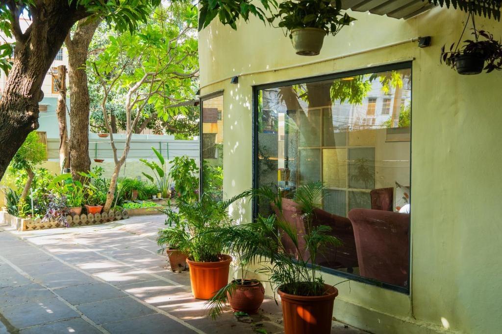 The Lata's- A Pet-Friendly Villa x Solis Nature