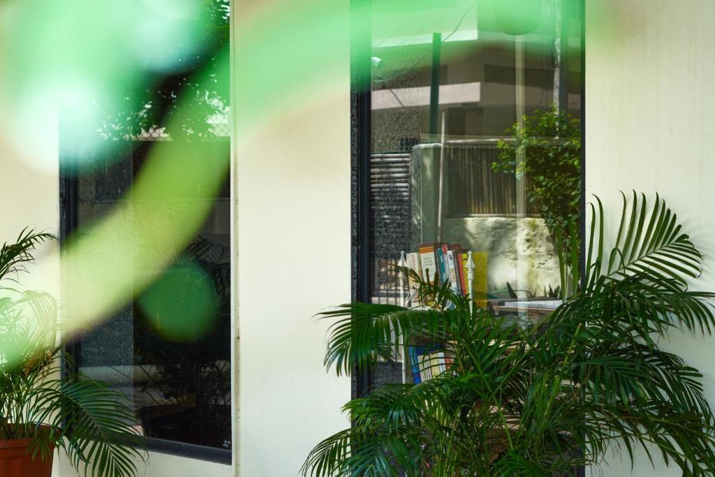 The Lata's- A Pet-Friendly Villa x Solis Nature