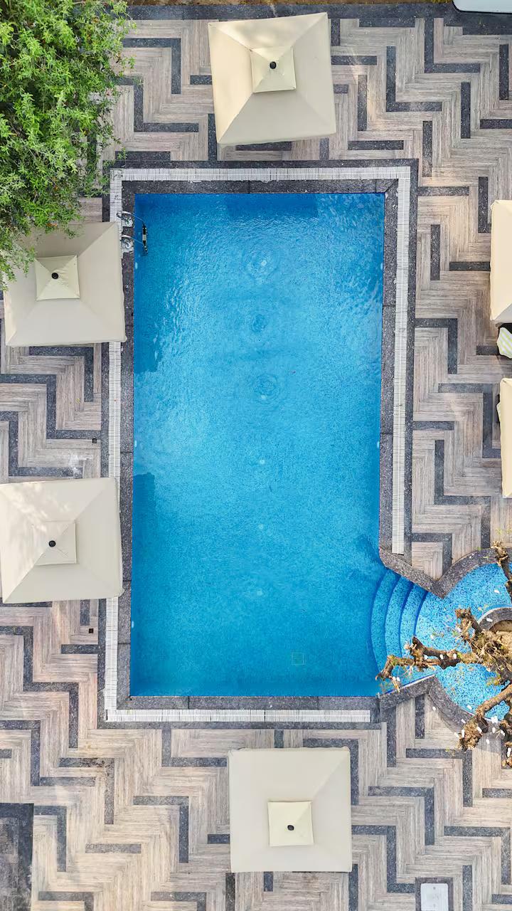 Zivana By Peace house x Solis Nature