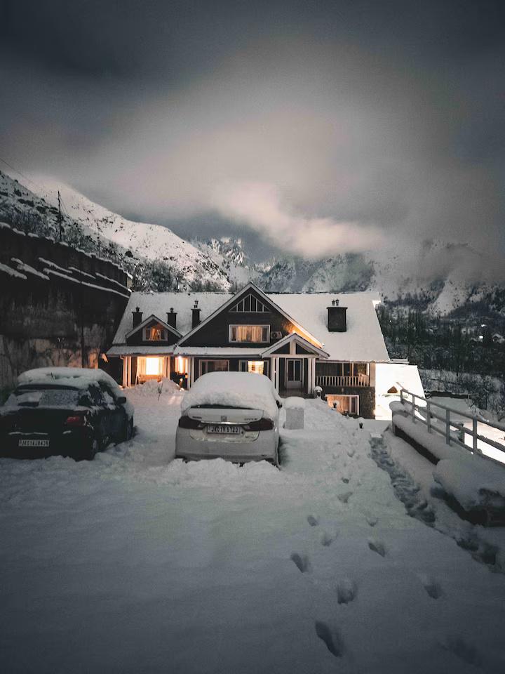 The Greystone x Solis Nature