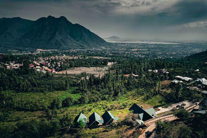 The Greystone x Solis Nature