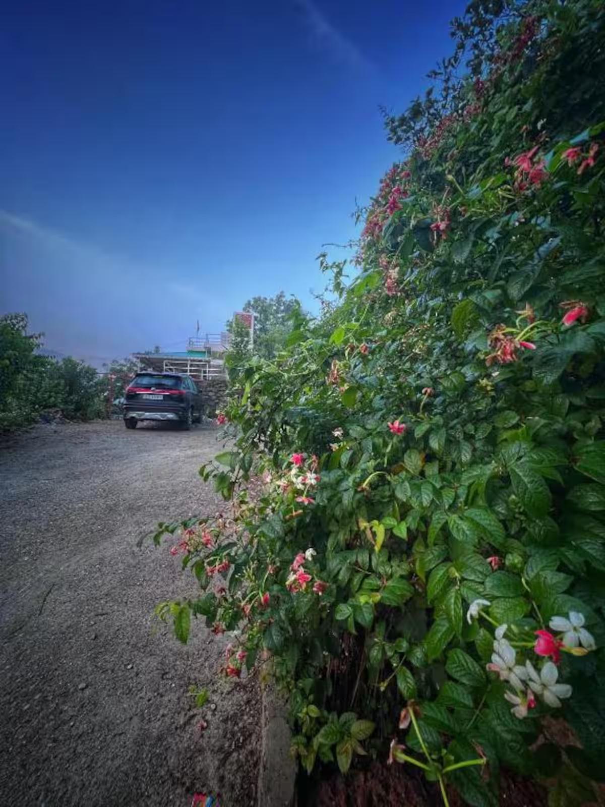 3 Bedroom Villa With Pool in Udaipur x Solis Nature